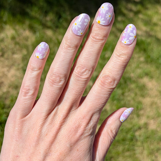 Moon Daisy