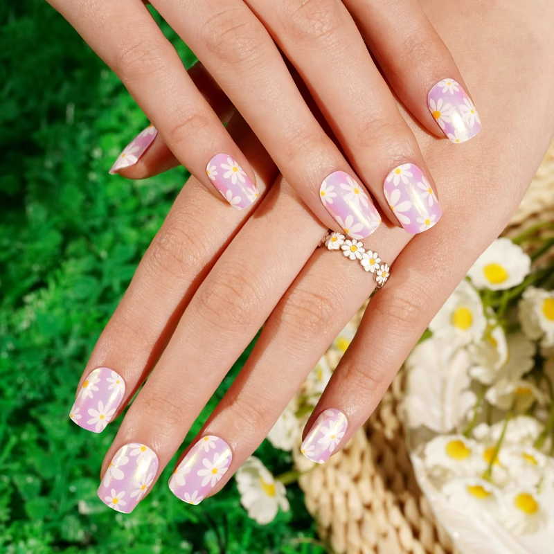 Moon Daisy
