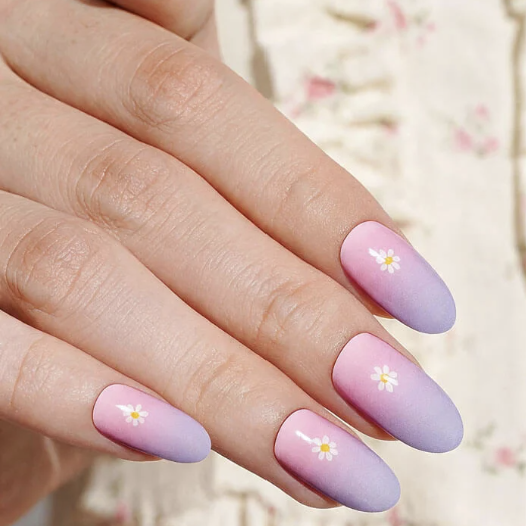 Petal Dream